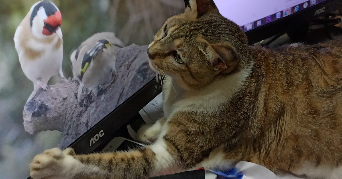 Fix AI Assistant Project Understanding Issues Fast