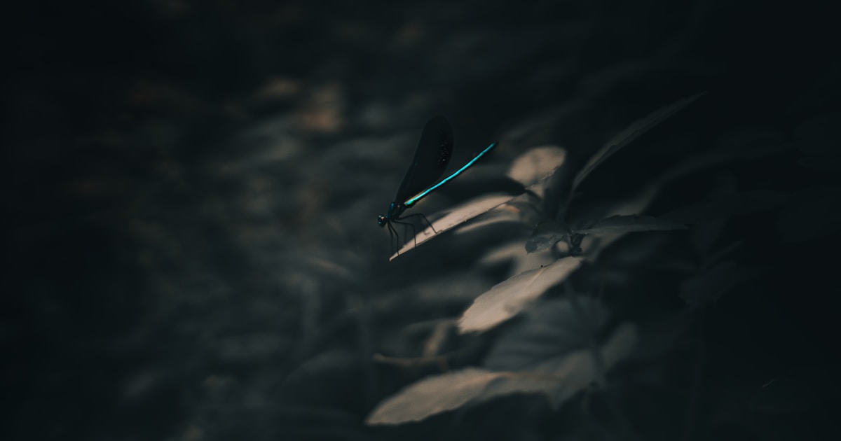 Cursor Agent: Revolutionizing AI-Powered Development Workflows