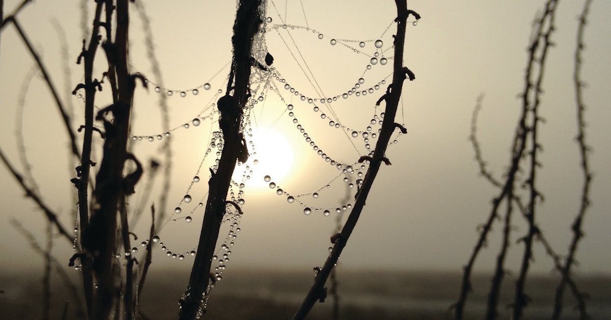 Mastering URL Handling in Cursor AI: A Practical Guide with Examples