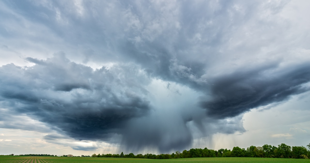 How to Add Files to Cursor AI: A Comprehensive Guide