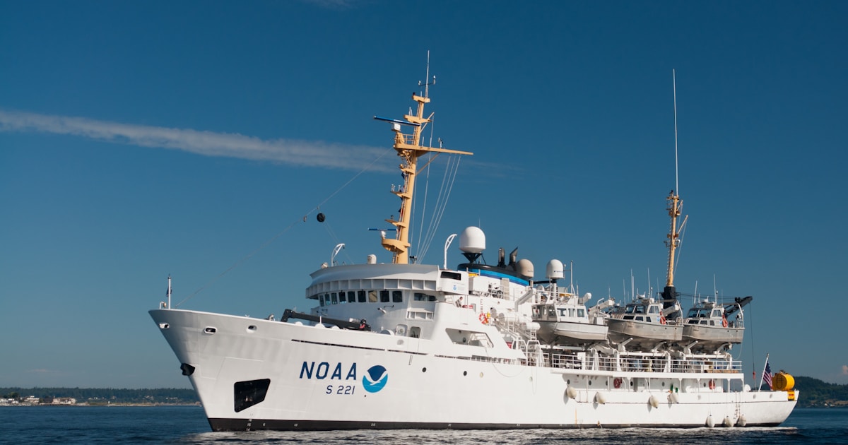 Building with Multiple AI Models: A Guide to Unified Platforms