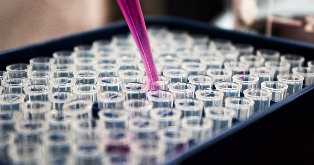 Mastering Code Documentation for Research Papers: A Comprehensive Guide